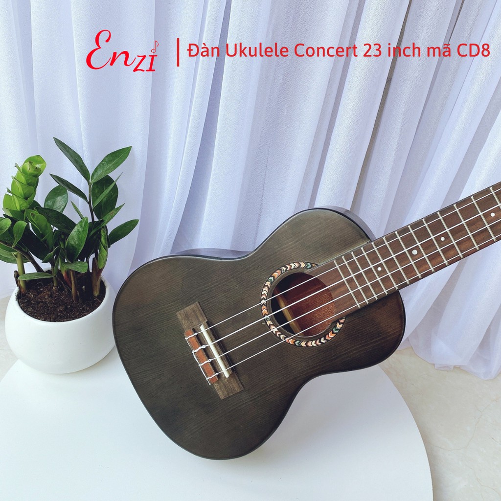 Đàn ukulele concert size 23 inch chất liệu gỗ giá rẻ chất lượng ENZI