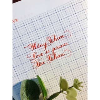 Mực ink cao cấp