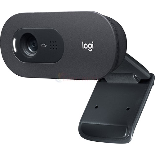 Webcam Logitech C505 HD V-U0018 - Hàng chính hãng