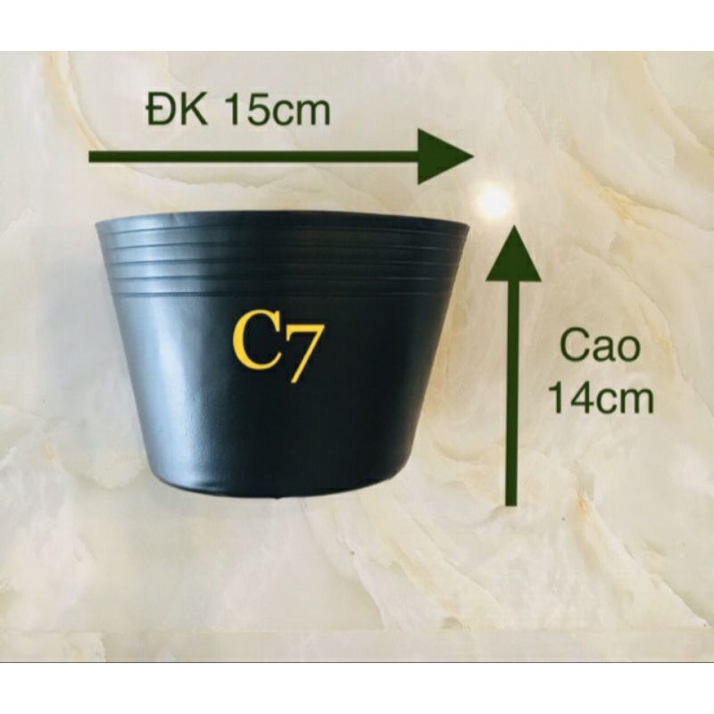 Combo 50 cái chậu nhựa C7