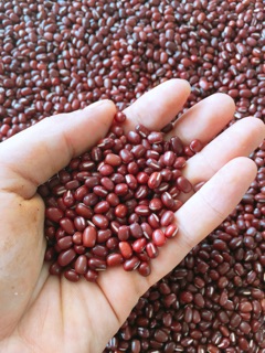 Bột đậu đỏ Nhà Làm