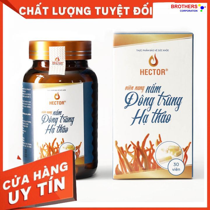 [Chính hãng] Viên nang đông trùng hạ thảo Hector 100% (Lọ 30 viên x 250 mg) | BigBuy360 - bigbuy360.vn