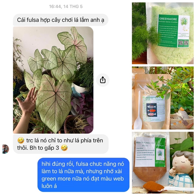 PHỤC HỒI FULSA 250 LÍT 500 LÍT TƯỚI PHUN
