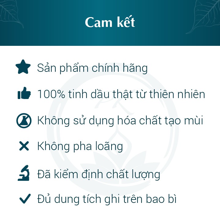 Tinh dầu Oải Hương 24Care