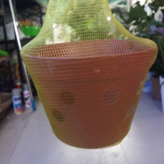 Lưới bọc chậu hoa lan / cái