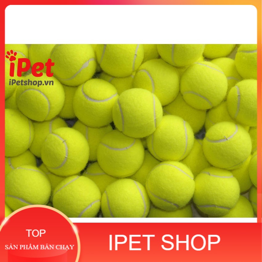 Đồ chơi banh tennis cho chó mèo - iPet Shop