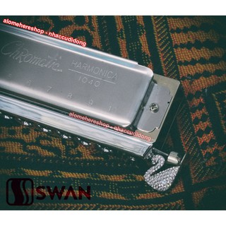 Kèn Harmonica Chromatic Swan SW1040 10 lỗ