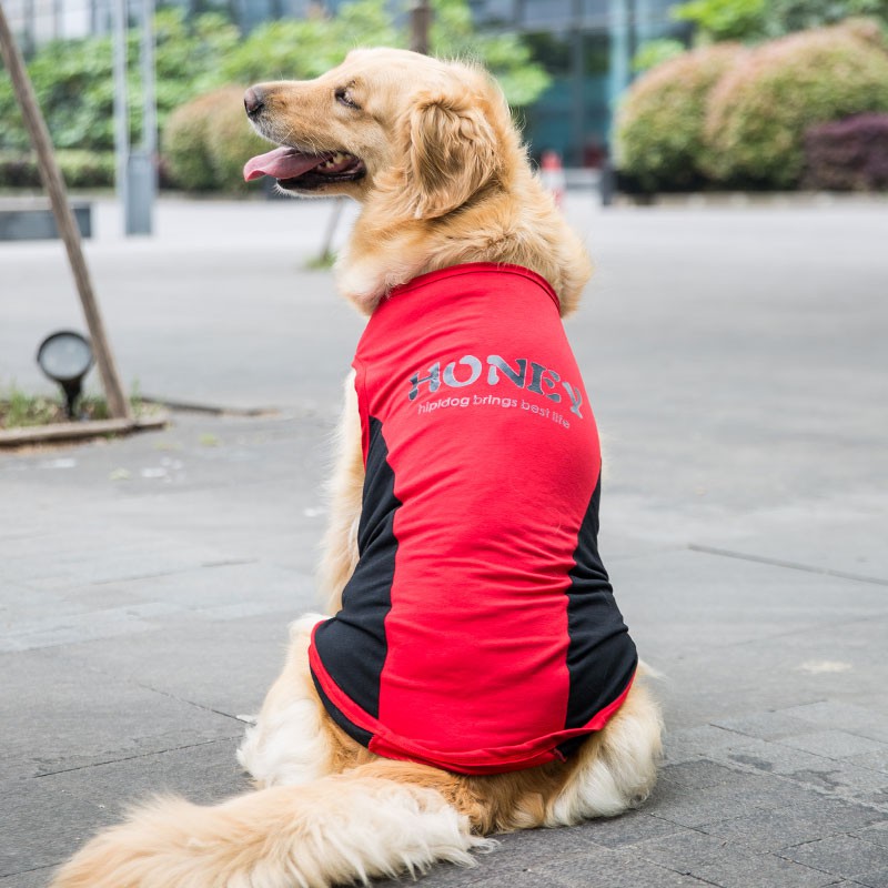 Quần áo cho chó Golden Retriever thú cưng Samoyed mùa hè chó lớn mùa hè vest tru