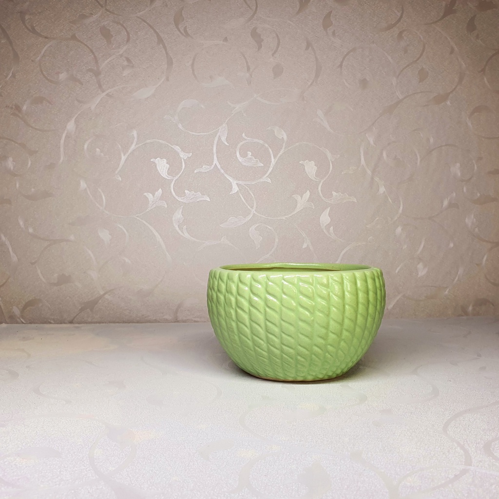 Chậu trồng cây cảnh , sen đá , xương rồng - Kiểu vành tròn -   và