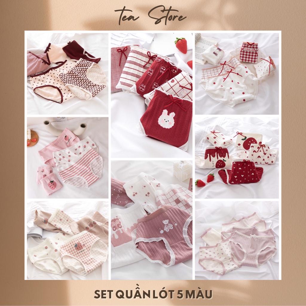 Set quần lót cotton Tea Store họa tiết dễ thương