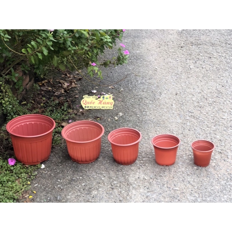 Chậu nhựa Nâu N20