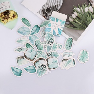 Hộp sticker hình lá cây