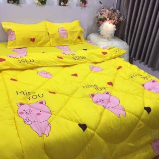 Set bộ ga 4 món và 5 món m6. M8