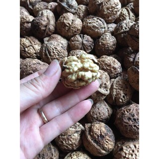 Óc chó nếp vỏ mỏng 1kg
