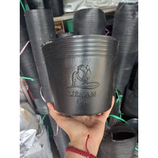 Combo 10 chậu nhựa đen c8 trồng cây