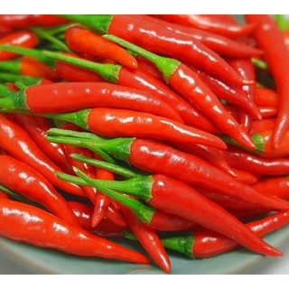 Hạt giống ỚT SIÊU CAY F1