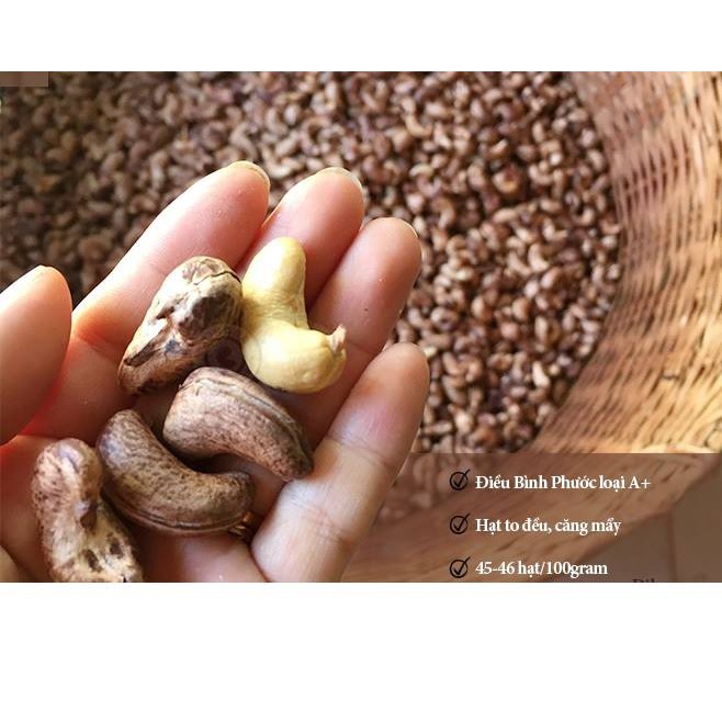 Hạt điều rang muối Bình Phước Loại A 500gr