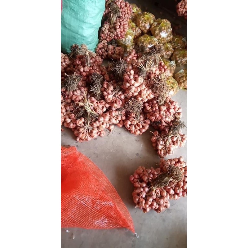 Hành khô Hải Dương