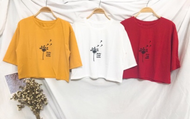 😊 Áo CROPTOP THÊU FROM RỘNG 😘 | BigBuy360 - bigbuy360.vn