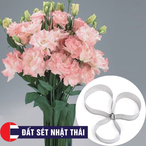 KHUÔN LÀM HOA ĐẤT SÉT HOA CÁT TƯỜNG, HOA CẨM TÚ CẦU TRÒN - HOA ĐƯỜNG, XÔI HOA ĐẬU, HOA BÁNH KEM, RAU CÂU