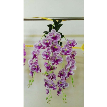 Giò lan hồ điệp_hoa lan giả