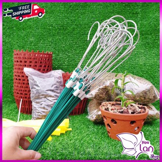 Móc Treo Lan ⚜️FREESHIP⚜️ Kẽm - Bọc Nhựa - Inox  [ Loại 80cm ]