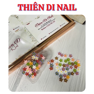Set hoa sứ đính móng nhiều màu sắc đính móng THIÊN DI NAIL