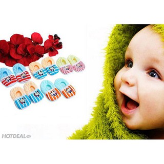 Combo 5 đôi giày vải cho bé