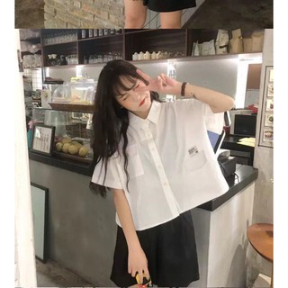 Áo Sơ Mi Croptop (Có ảnh + video)