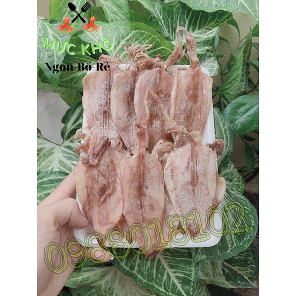 MỰC KHÔ MINI CHUẨN CÂU KHAY 20CON SIZE 90-100con/kg