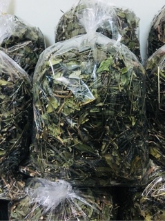 Chè vằng sẻ sao vàng hạ thổ