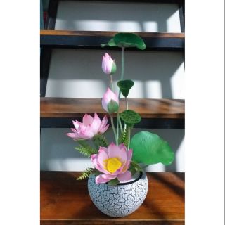 Hoa đất sét - Hoa Sen đất sét