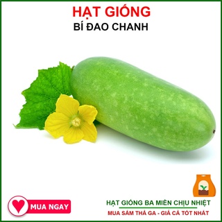 HẠT GIỐNG BÍ ĐAO CHANH F1 TRANG NÔNG - 20 hạt