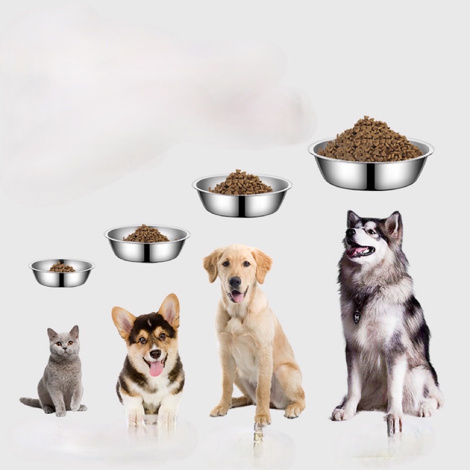 Bát Inox Đựng Thức Ăn Cho Chó Mèo.