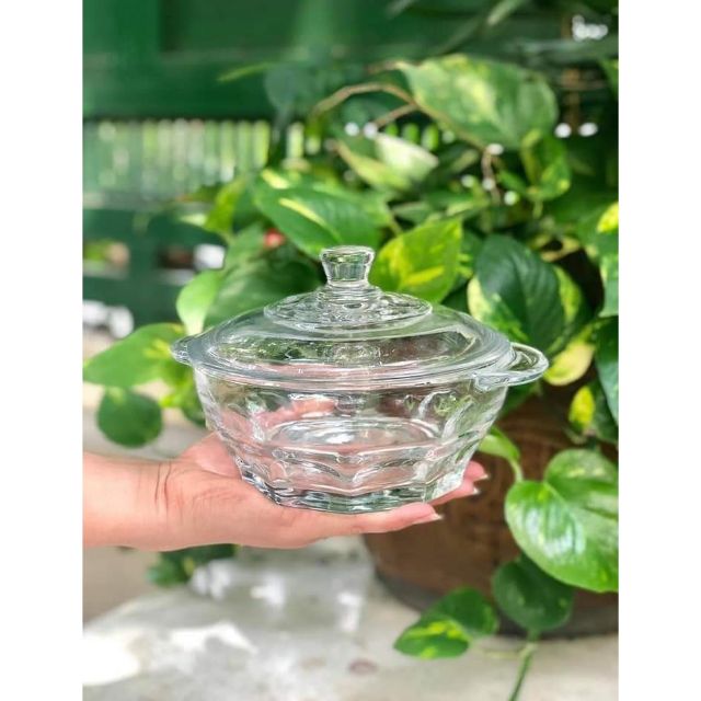 THỐ THỦY TINH ENSURE