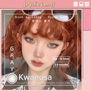 🎀 Xám tây ánh xanh rêu siêu quyến rũ siêu xinhhh | Pynielens ✨