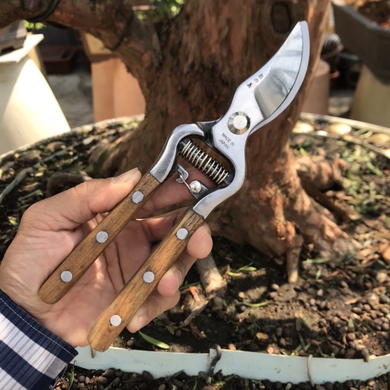 Kéo Cắt Cành Thép Nhật
