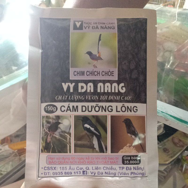 cám vỹ đà nẵng chích choè dưỡng lông