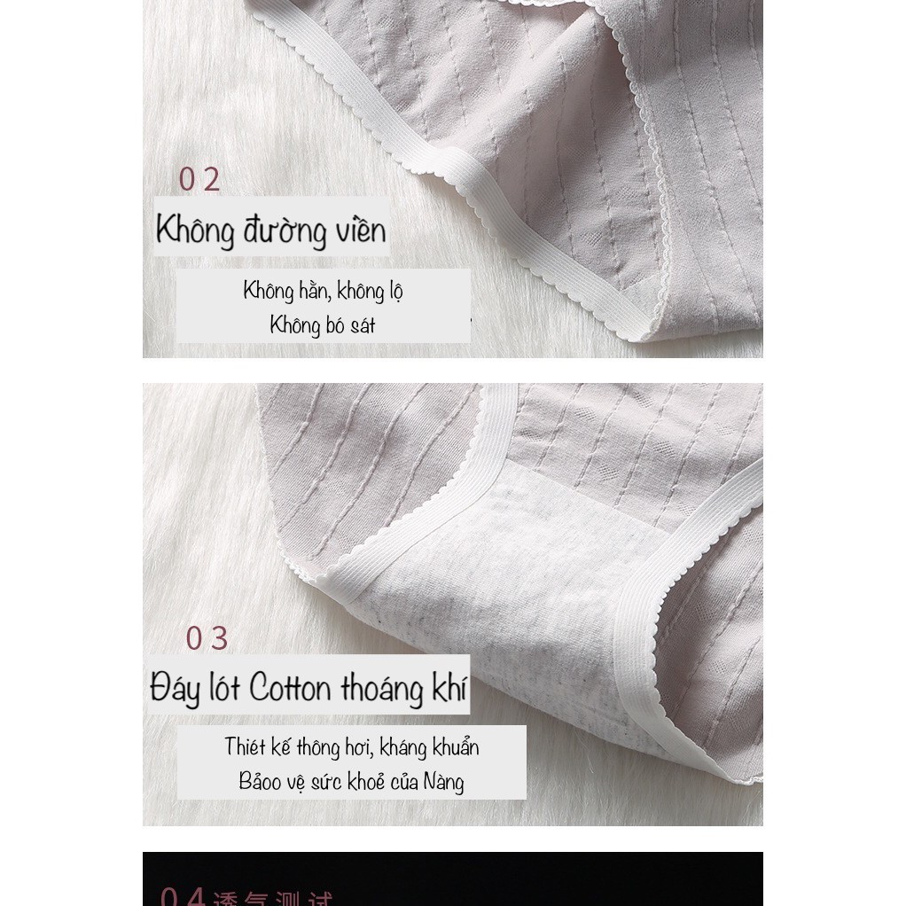 QUẦN LÓT NỮ COTTON THÔNG HƠI TIM VANVENE LÓT ĐÁY NANO BẠC KHÁNG KHUẨN Q048 | BigBuy360 - bigbuy360.vn