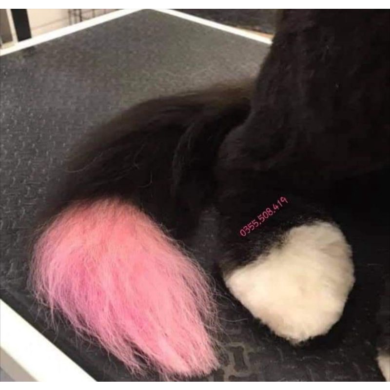 Bộ tẩy nhuộm lông màu giúp màu lên đều và tươi hơn cho thú cưng lông đen xám nâu - OmonPet