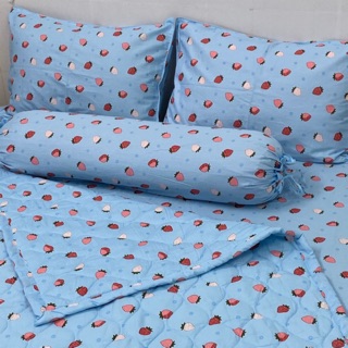 Bộ vỏ gối 100% cotton Hàn ( 2 áo gối nằm 50x70, 1 áo gối ôm 35x100cm)