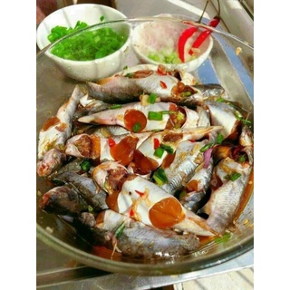 Cá chốt trứng. Hộp 500g (giao hỏa tốc)