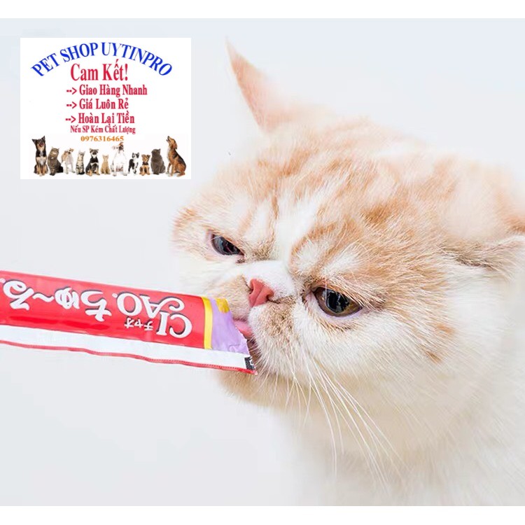 SÚP THƯỞNG CHO MÈO Ciao Gói 56g Gồm 4 thanh x 14g Bổ sung dinh dưỡng Tốt cho tiêu hóa Hạn chế sỏi thận và tiết niệu