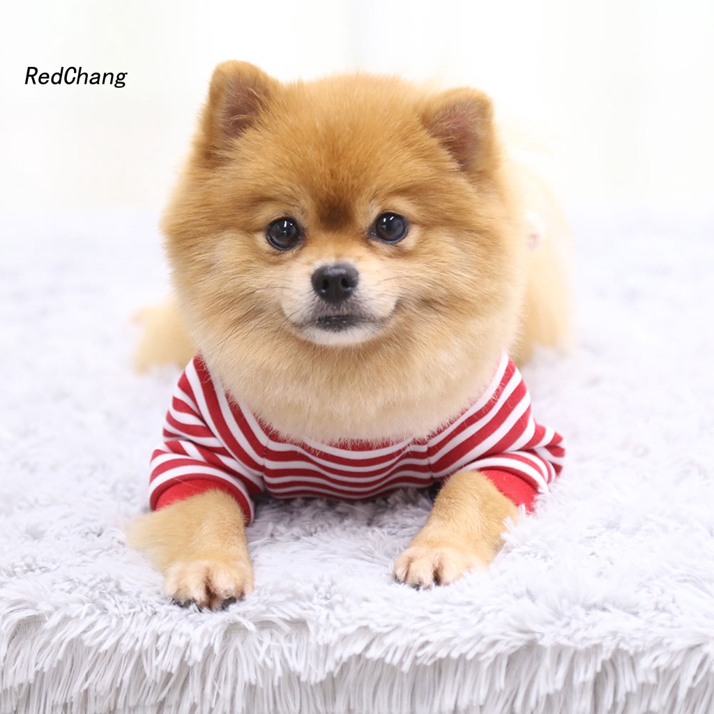 Áo sweater chất vải mềm đính búp bê gấu dễ thương cho cún cưng mặc mùa đông