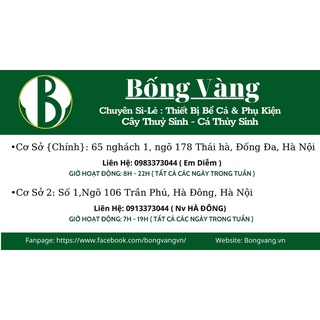 Đèn Rọi Coco 3W - 3 Chế Độ Màu