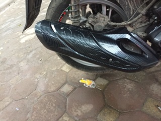 ốp bô các bon sh 2020