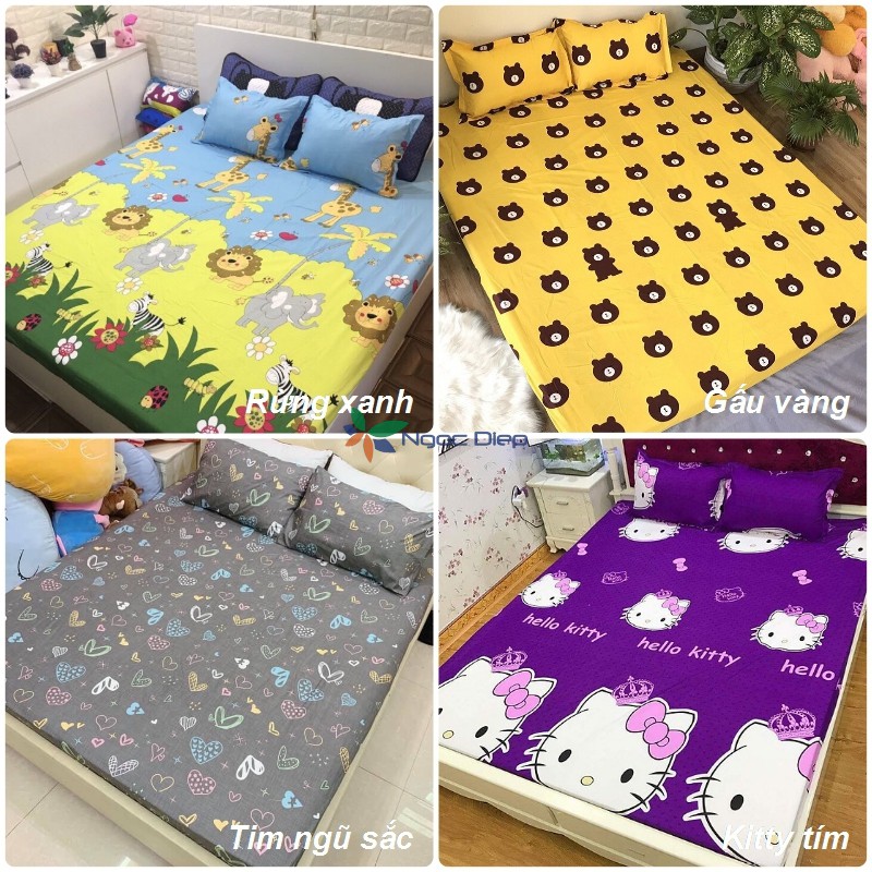 Sale ngẫu nhiên giá lẻ = giá sỉ bộ ga chun poly cotton m6 hoặc m8 | BigBuy360 - bigbuy360.vn