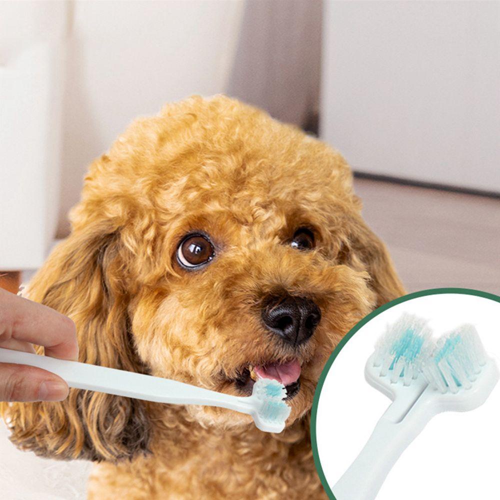 Bàn Chải Đánh Răng AUGUSTINA Mềm Mại Bảo Vệ Răng Cho Cún Cưng Tiện Dụng