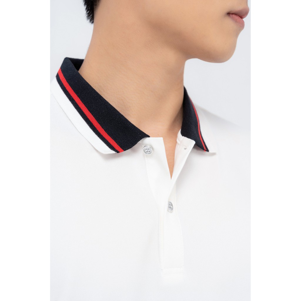 Áo Polo Yody Mắt chim phối bo 02 chất liệu Cotton mềm mịn thoải mái APM3641