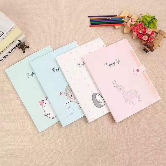 Combo 10 cặp đựng tài liệu (sỉ 18k)